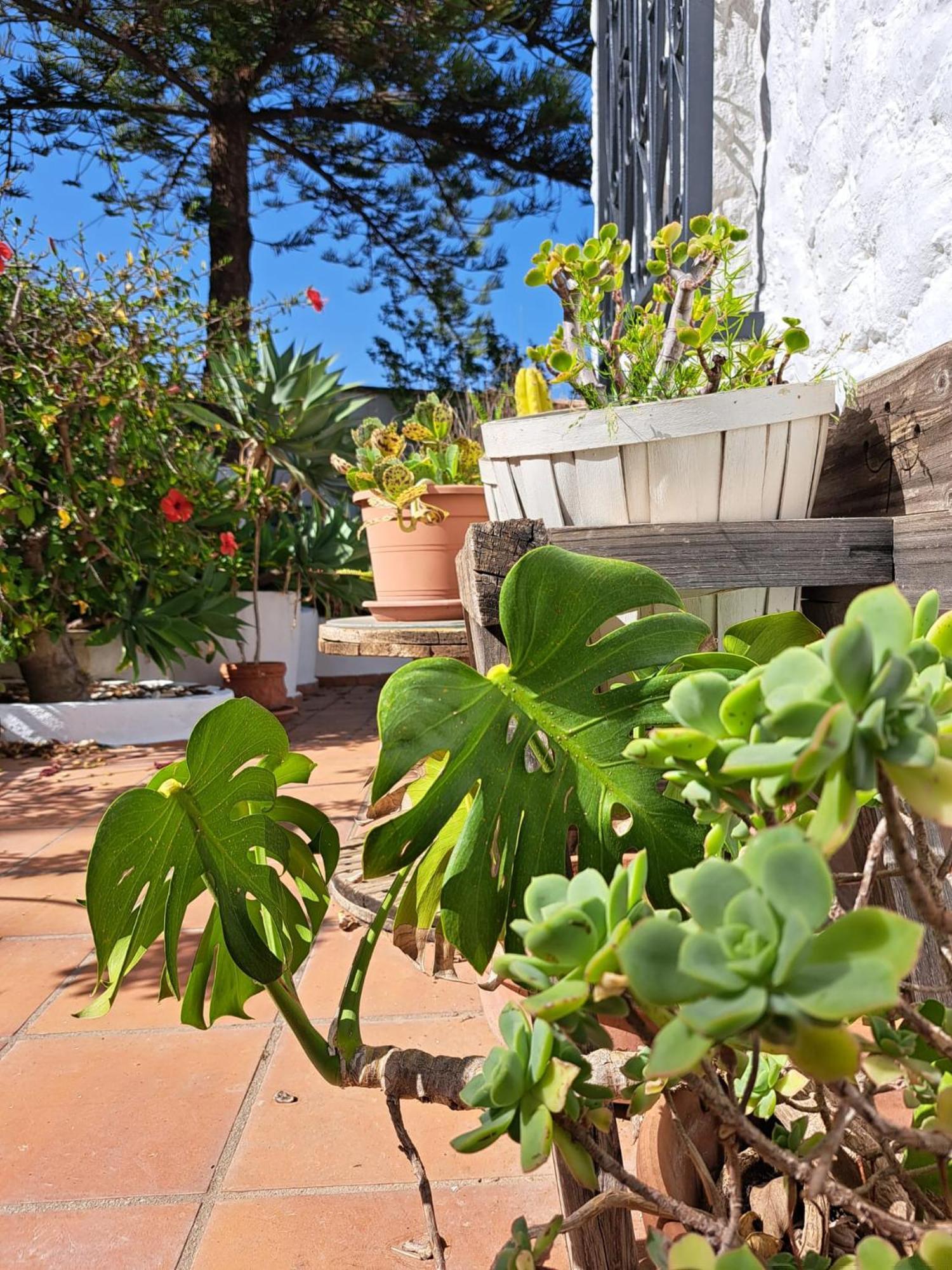 Casa Campo Mijas Costa Del Sol Малага Экстерьер фото